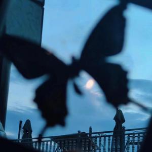 黑人男女交配一区
